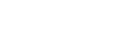 NV Casino Software
