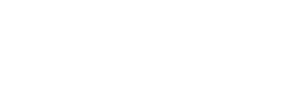 NV Casino Provider